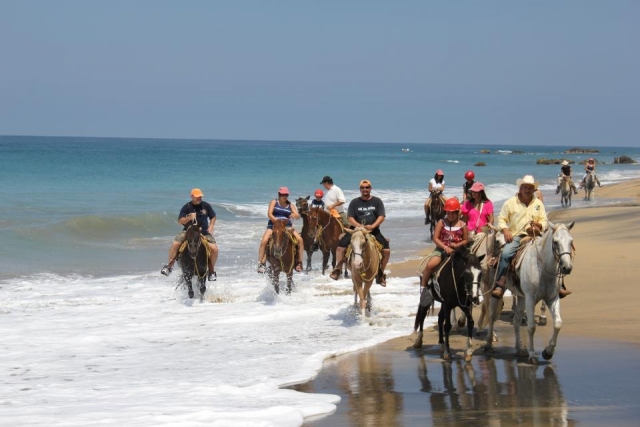  Horseback riding on the beach 
